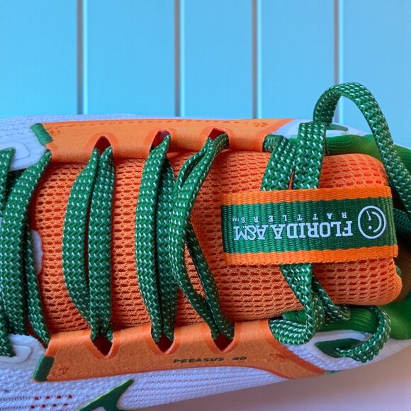 Nike Florida A&M University Rattlers Zoom Pegasus 40 Running Shoe - Unisex - Picture 1 of 11